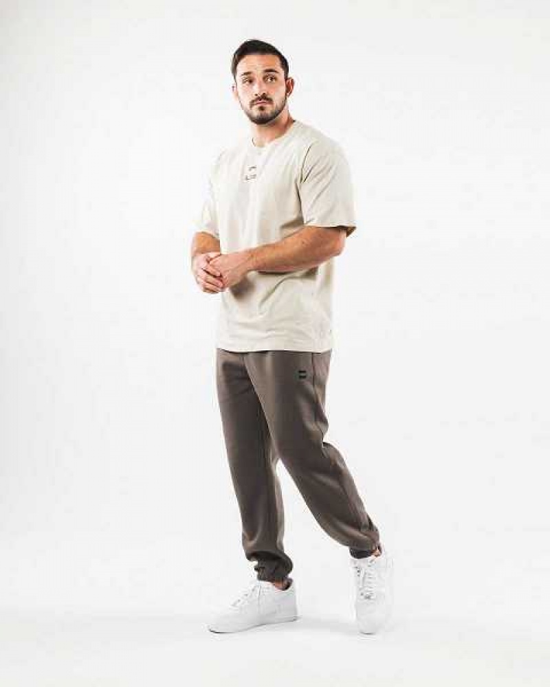 Brown Men's Alphalete Academy Relaxed Jogger | UAE-741023