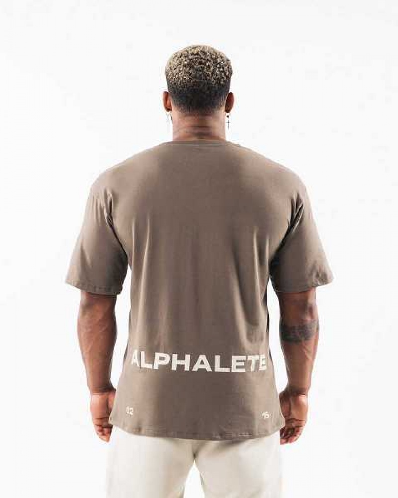 Brown Men's Alphalete Brushed Crest Short Sleeve Shirts | UAE-760298