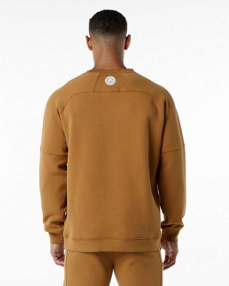 Brown Men's Alphalete ELMTS Crewneck Sweater | UAE-617425