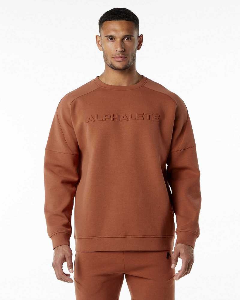 Brown Men\'s Alphalete ELMTS Crewneck Sweater | UAE-624758