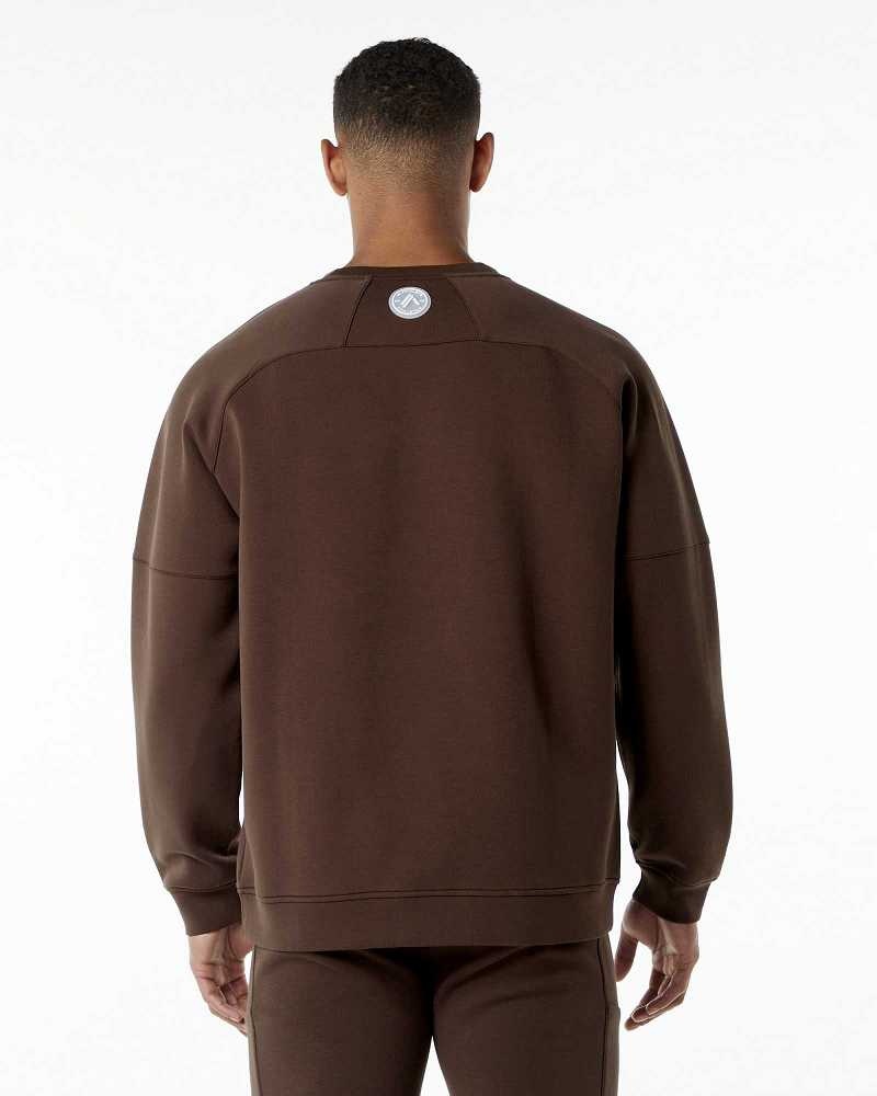 Brown Men's Alphalete ELMTS Crewneck Sweater | UAE-017438