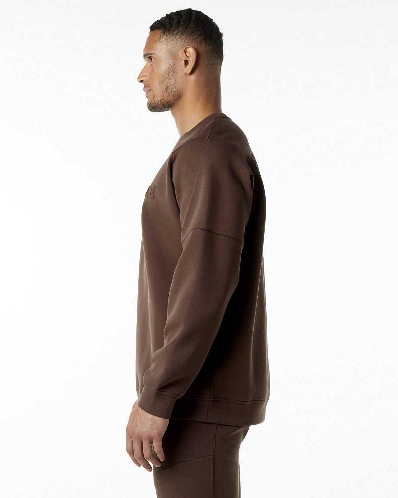 Brown Men's Alphalete ELMTS Crewneck Sweater | UAE-017438