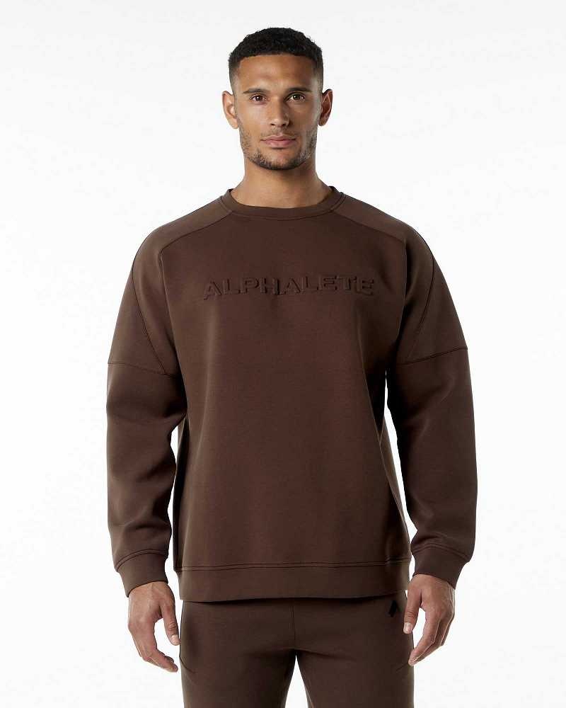 Brown Men\'s Alphalete ELMTS Crewneck Sweater | UAE-017438