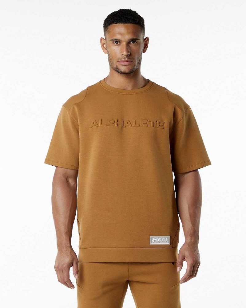 Brown Men\'s Alphalete ELMTS Half Sleeve Pullover | UAE-513478