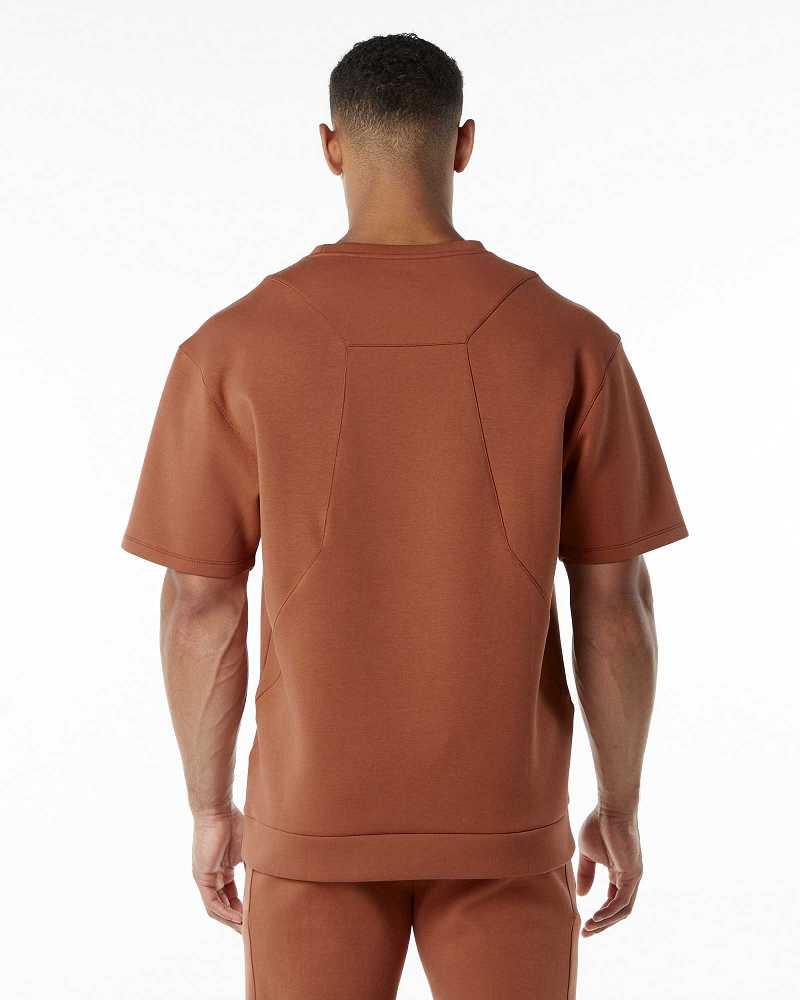 Brown Men's Alphalete ELMTS Half Sleeve Pullover | UAE-604872