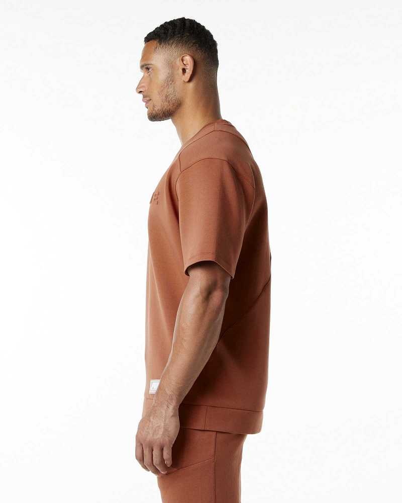 Brown Men's Alphalete ELMTS Half Sleeve Pullover | UAE-604872