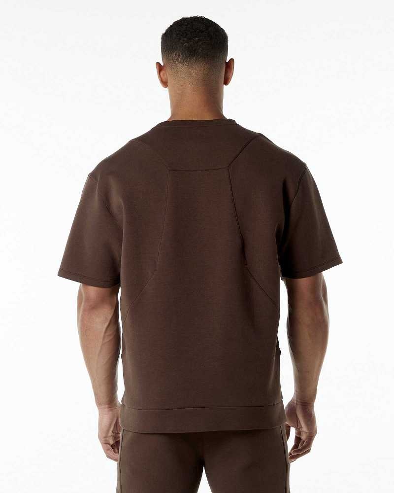 Brown Men's Alphalete ELMTS Half Sleeve Pullover | UAE-618294