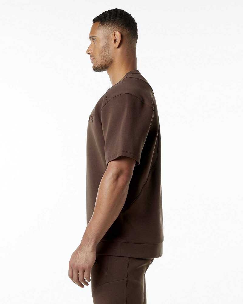 Brown Men's Alphalete ELMTS Half Sleeve Pullover | UAE-618294