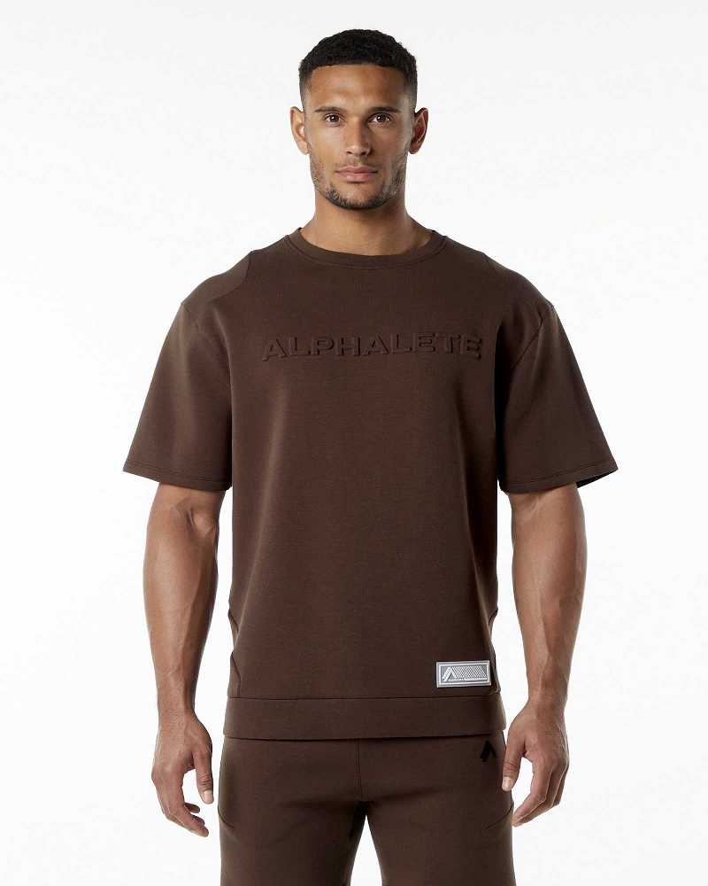 Brown Men\'s Alphalete ELMTS Half Sleeve Pullover | UAE-618294