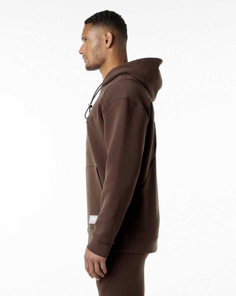 Brown Men's Alphalete ELMTS Hoodie | UAE-784039