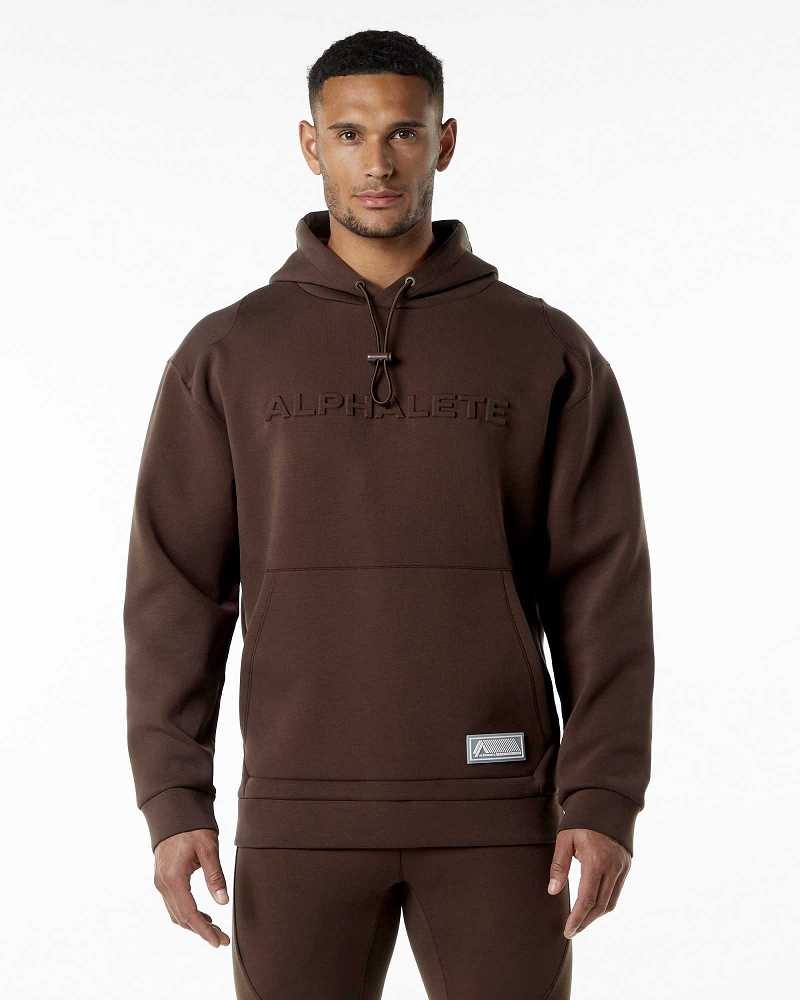 Brown Men\'s Alphalete ELMTS Hoodie | UAE-784039