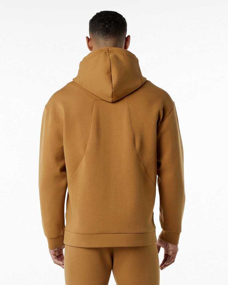 Brown Men's Alphalete ELMTS Hoodie | UAE-984165