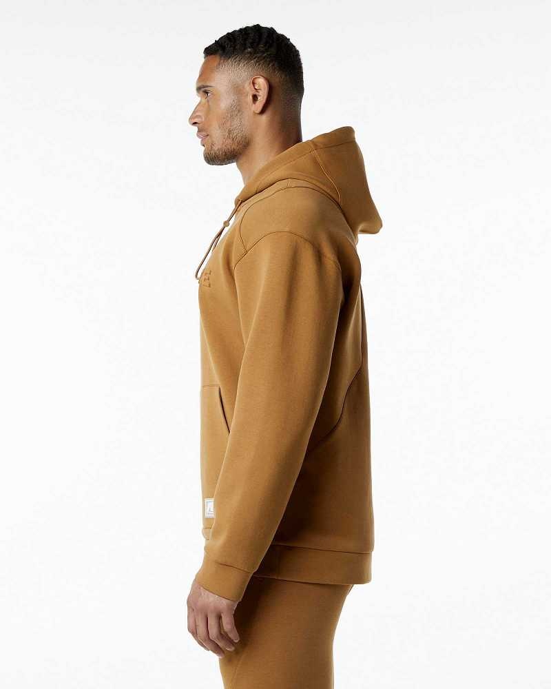 Brown Men's Alphalete ELMTS Hoodie | UAE-984165