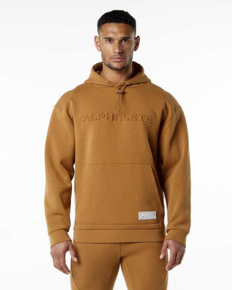 Brown Men\'s Alphalete ELMTS Hoodie | UAE-984165