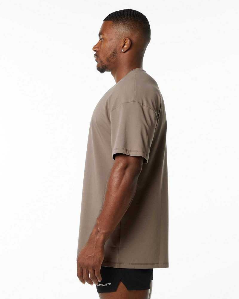 Brown Men's Alphalete Emblem Short Sleeve Shirts | UAE-563489