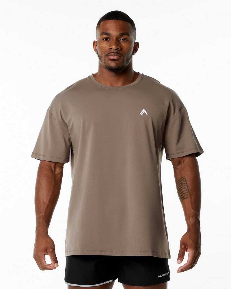 Brown Men\'s Alphalete Emblem Short Sleeve Shirts | UAE-563489