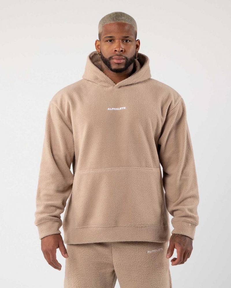 Brown Men\'s Alphalete King Hoodie | UAE-105972