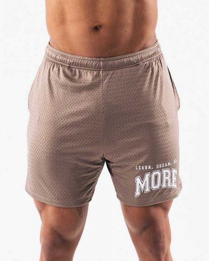 Brown Men\'s Alphalete LDB More Mesh 6” Shorts | UAE-309658