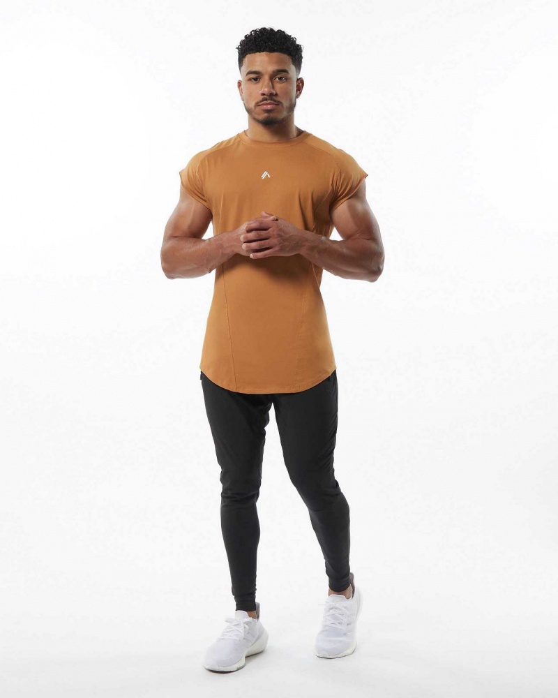 Brown Men's Alphalete Velocity Tanks | UAE-389271