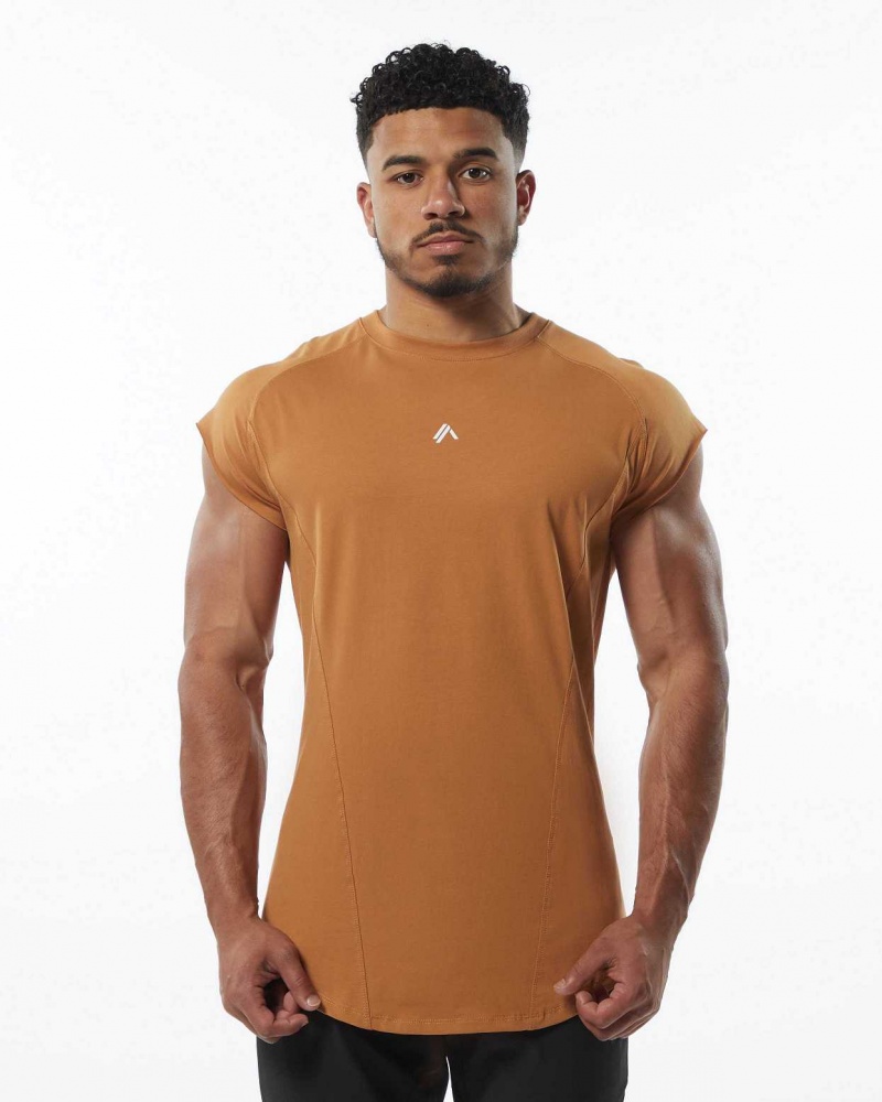 Brown Men\'s Alphalete Velocity Tanks | UAE-389271