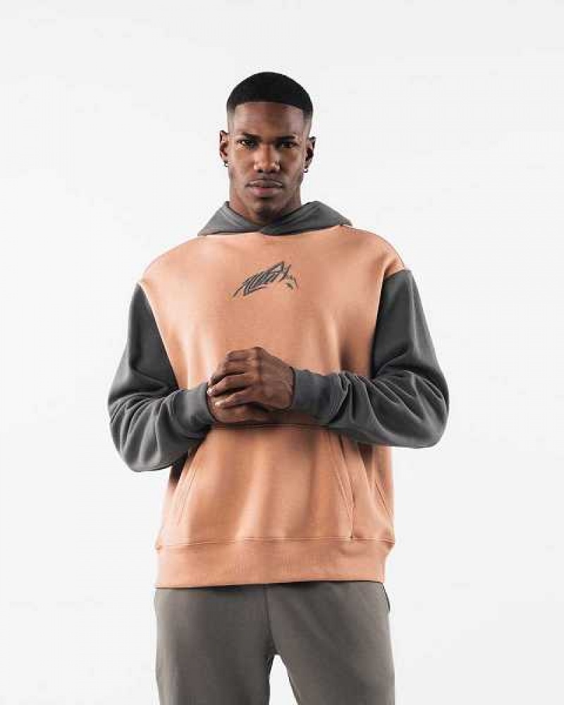 Brown Unisex Alphalete Stencil Hoodie | UAE-071836