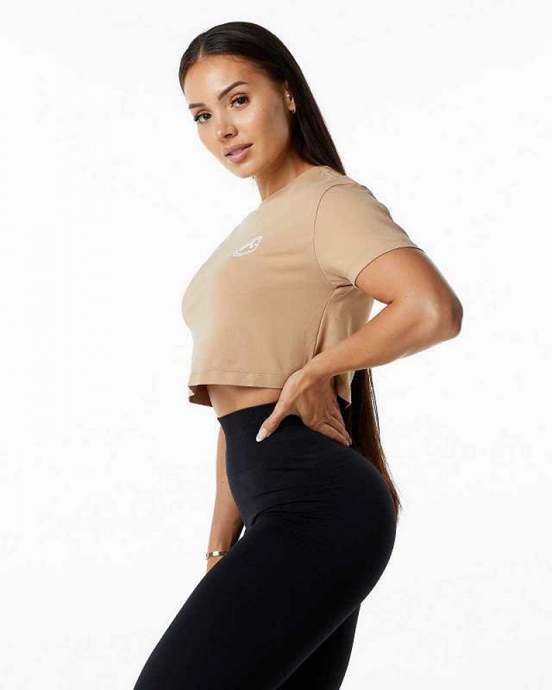 Brown Women's Alphalete Dynasty Crop Short Sleeve Shirts | UAE-301589