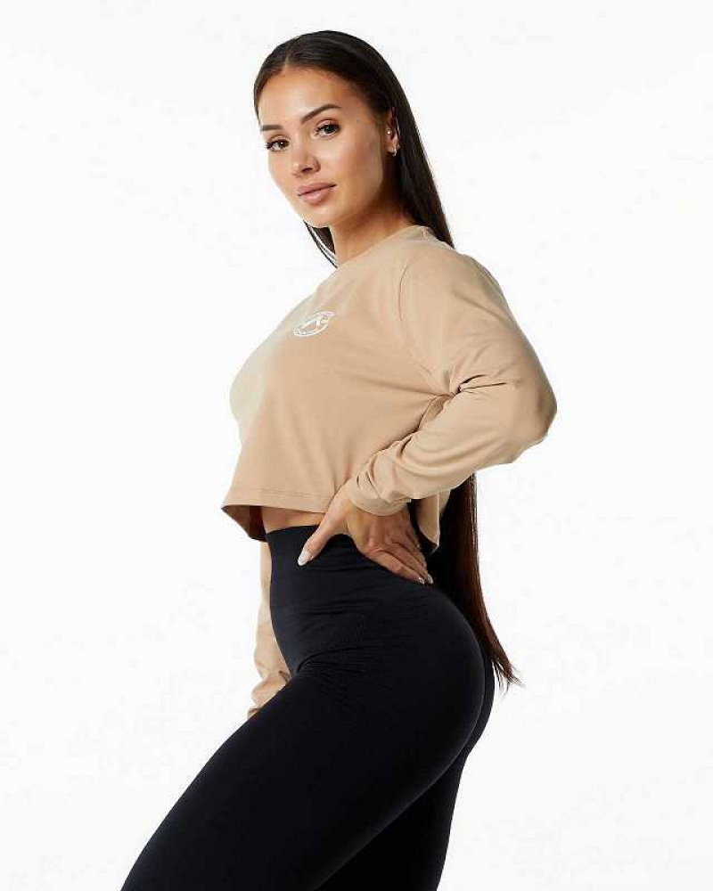 Brown Women's Alphalete Dynasty LS Crop Long Sleeve Shirts | UAE-529347