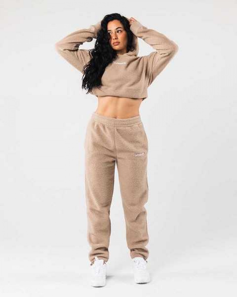 Brown Women's Alphalete King Crop Hoodie | UAE-314987