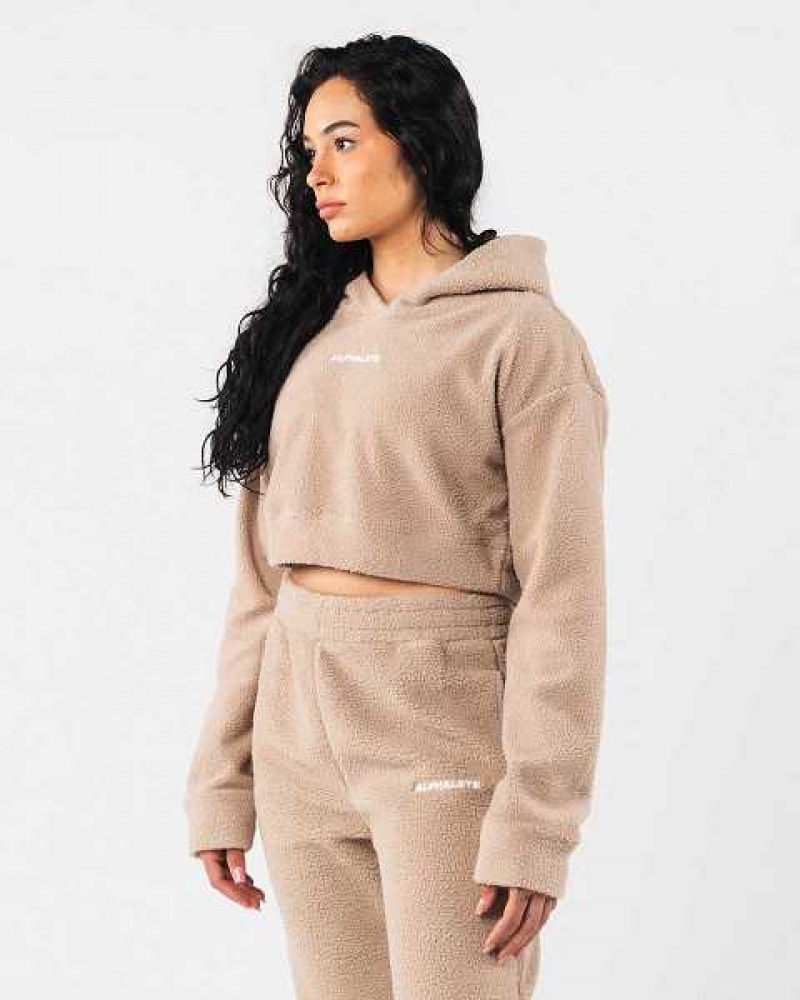 Brown Women's Alphalete King Crop Hoodie | UAE-314987