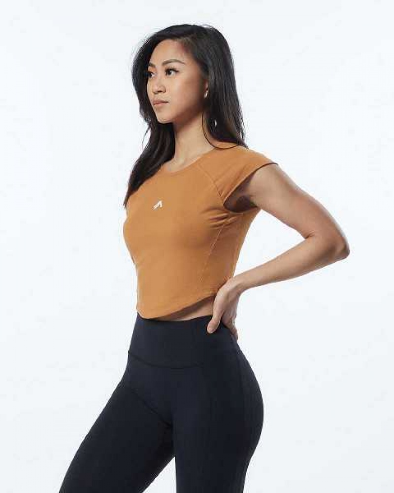 Brown Women's Alphalete Velocity Crop Short Sleeve Shirts | UAE-456392