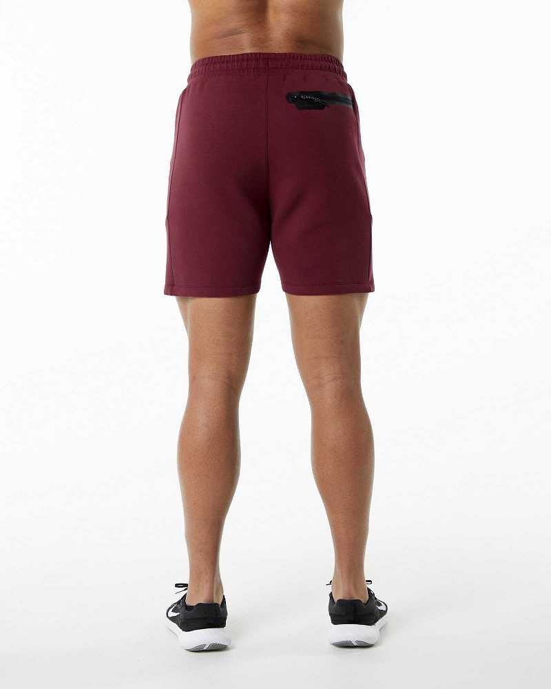 Burgundy Men's Alphalete ELMTS Athletic 6