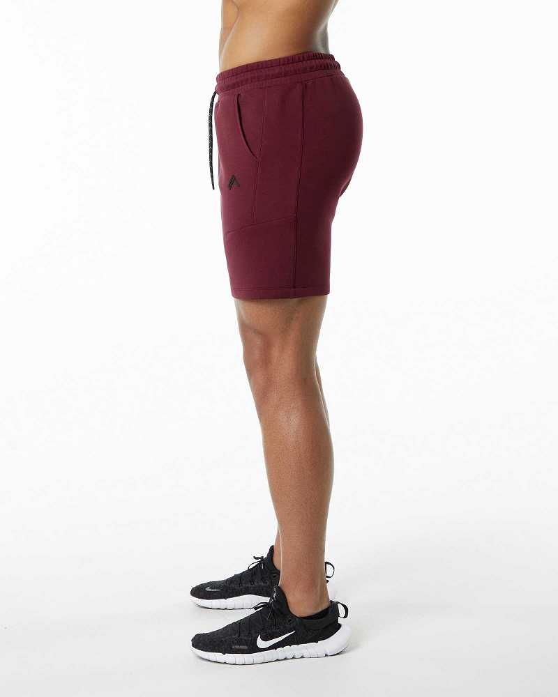 Burgundy Men's Alphalete ELMTS Athletic 6