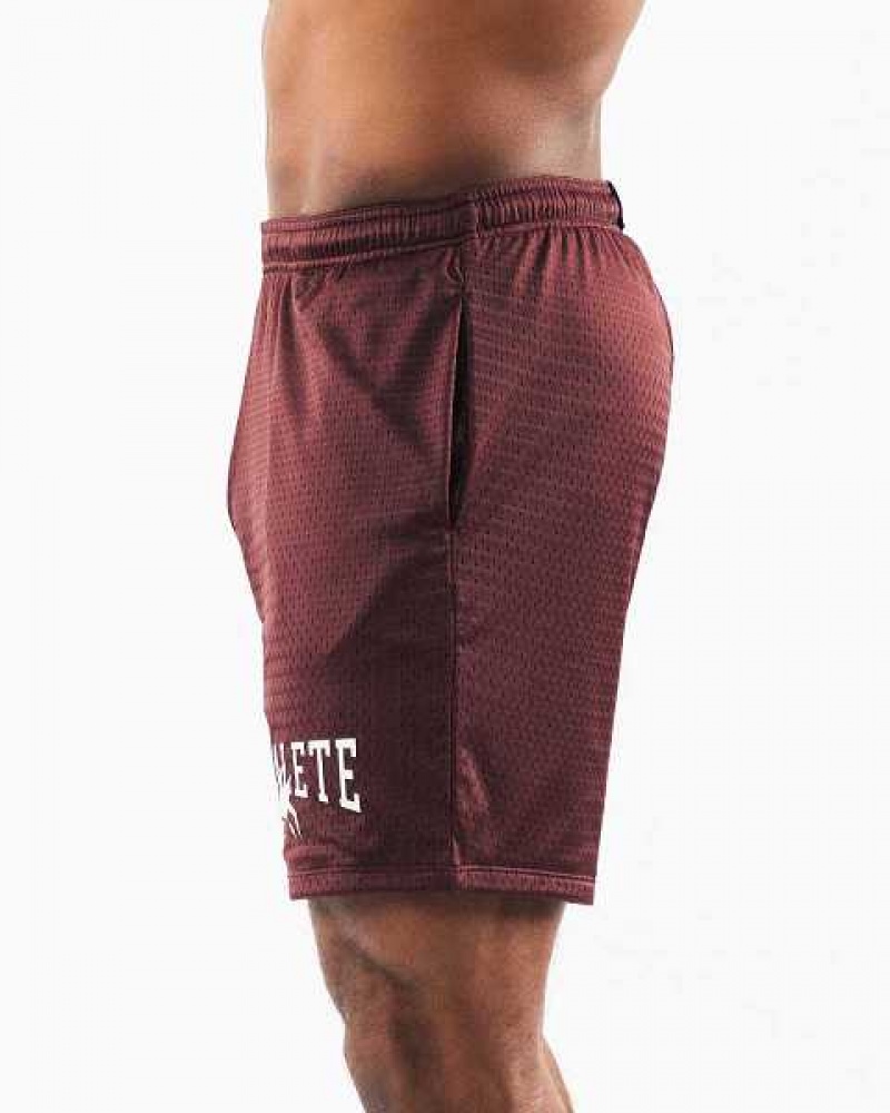 Burgundy Men's Alphalete Wolf Head Mesh 6