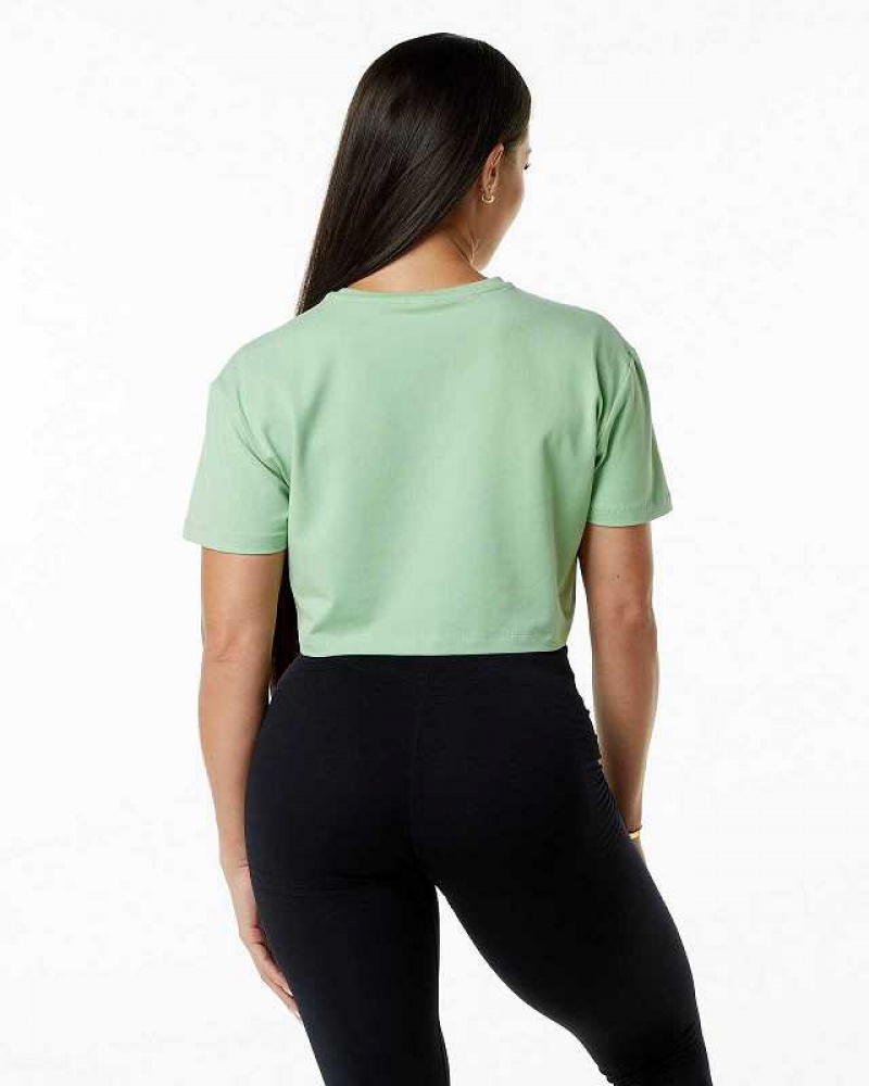 Green Women's Alphalete Dynasty Crop Short Sleeve Shirts | UAE-254701