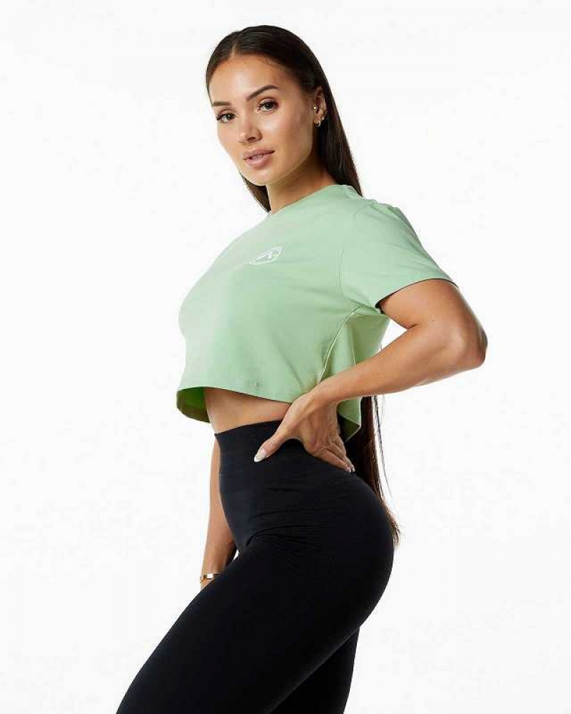 Green Women's Alphalete Dynasty Crop Short Sleeve Shirts | UAE-254701