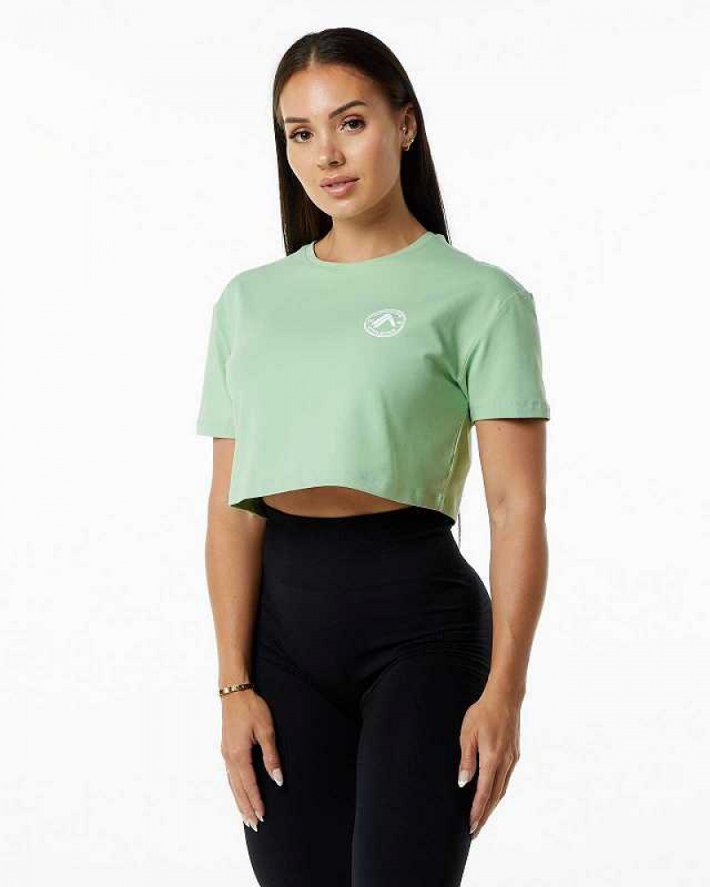 Green Women\'s Alphalete Dynasty Crop Short Sleeve Shirts | UAE-254701