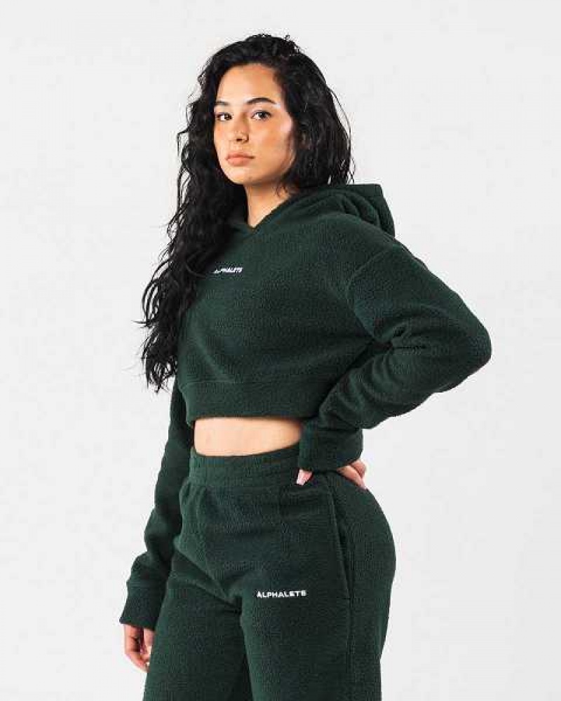 Green Women's Alphalete King Crop Hoodie | UAE-984135