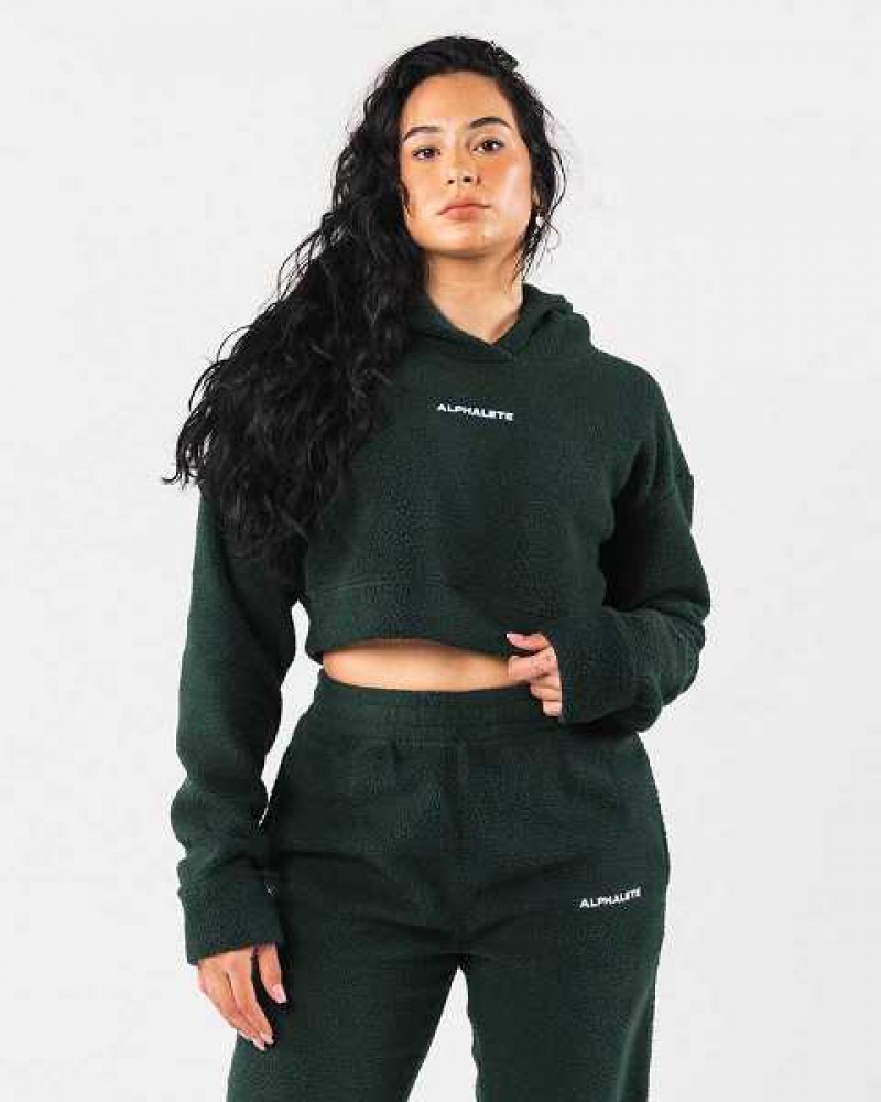 Green Women\'s Alphalete King Crop Hoodie | UAE-984135