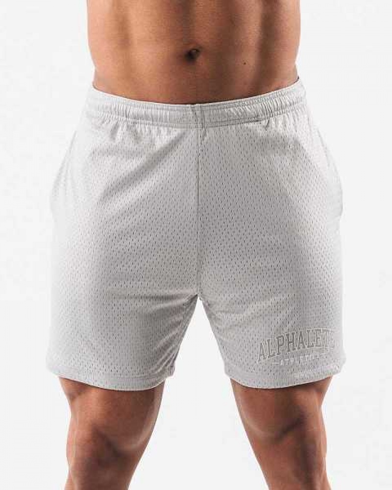 Grey Men\'s Alphalete AA Mesh 6” Shorts | UAE-072345