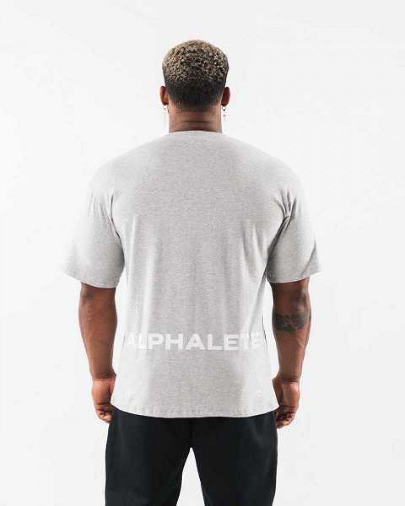 Grey Men's Alphalete Brushed Crest Short Sleeve Shirts | UAE-528309