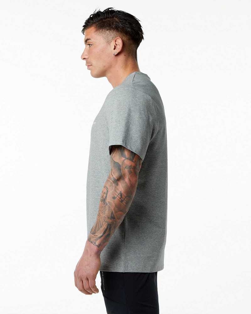 Grey Men's Alphalete Classic Short Sleeve Shirts | UAE-370859