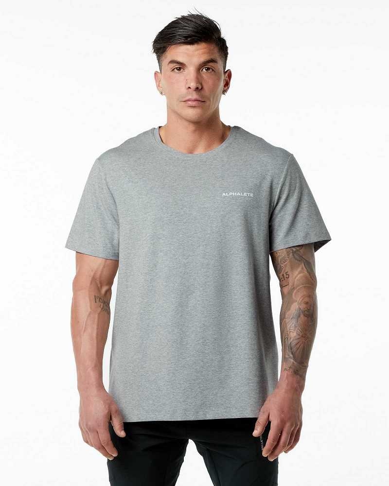 Grey Men\'s Alphalete Classic Short Sleeve Shirts | UAE-370859