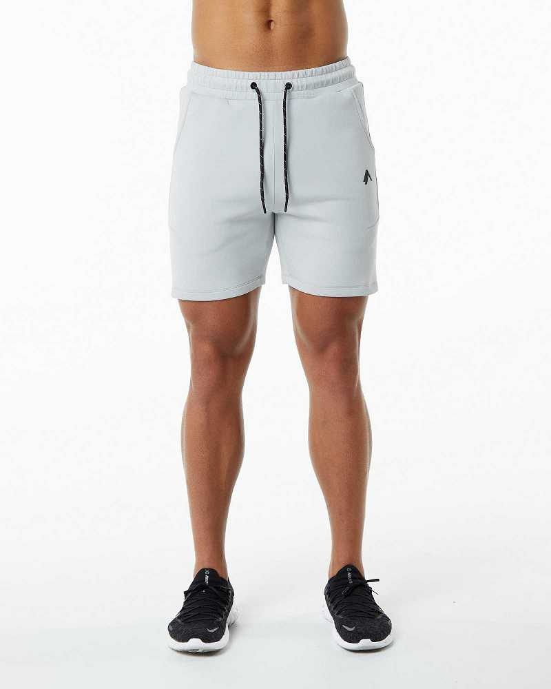 Grey Men\'s Alphalete ELMTS Athletic 6\