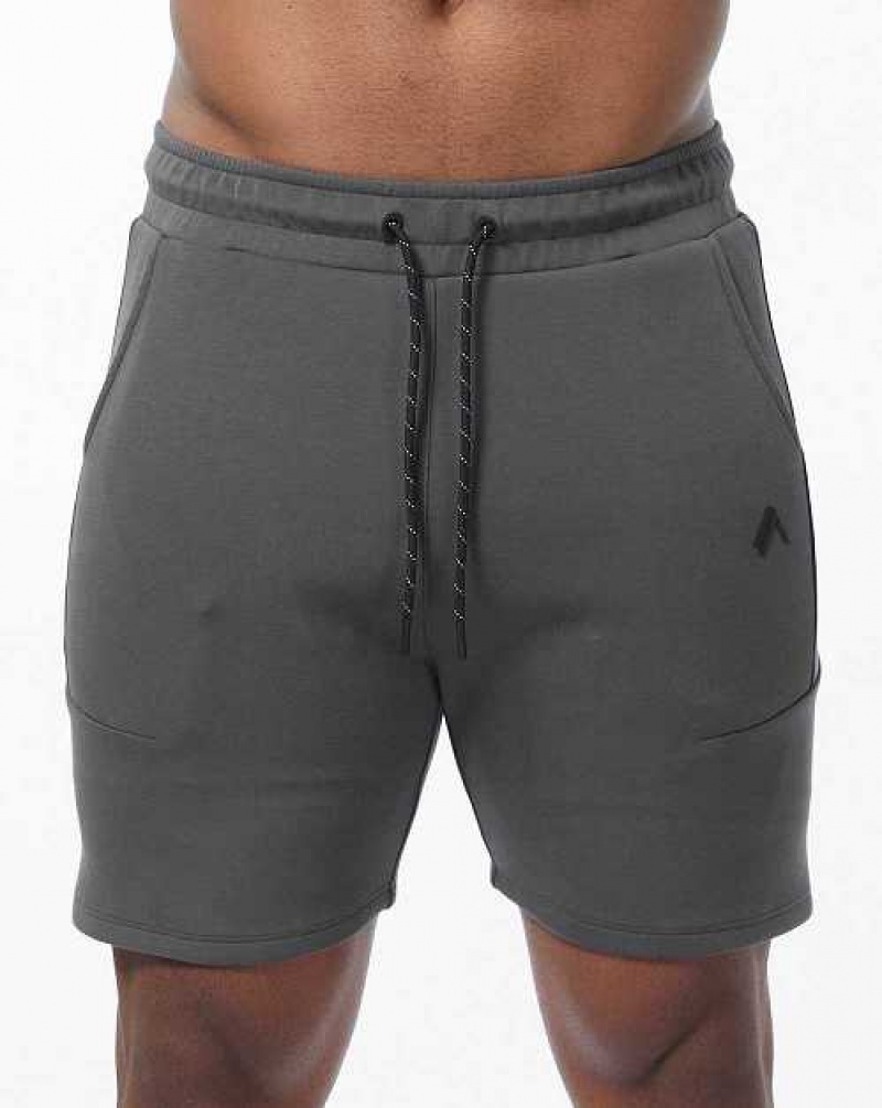 Grey Men\'s Alphalete ELMTS Athletic 6\