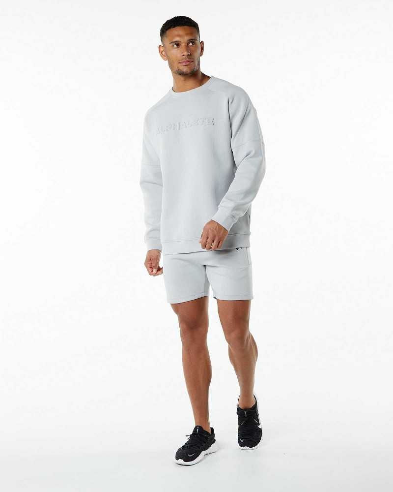 Grey Men's Alphalete ELMTS Crewneck Sweater | UAE-721354