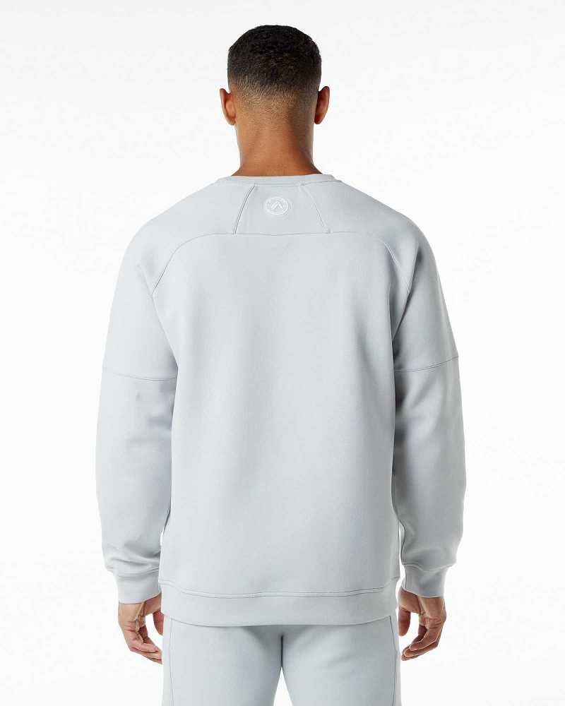 Grey Men's Alphalete ELMTS Crewneck Sweater | UAE-721354