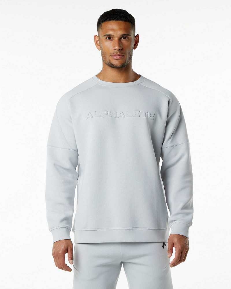 Grey Men\'s Alphalete ELMTS Crewneck Sweater | UAE-721354