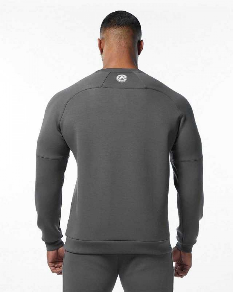 Grey Men's Alphalete ELMTS Crewneck Sweater | UAE-843192