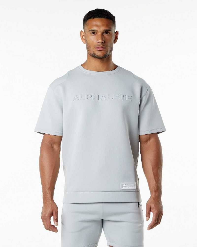 Grey Men\'s Alphalete ELMTS Half Sleeve Pullover | UAE-129043