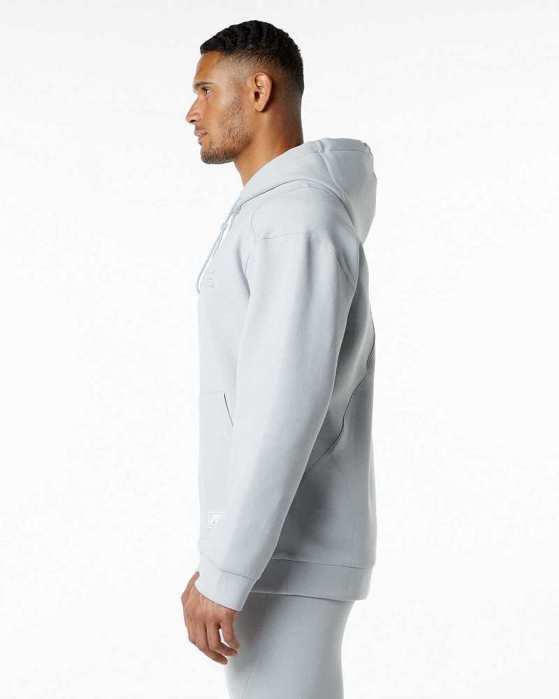 Grey Men's Alphalete ELMTS Hoodie | UAE-286039